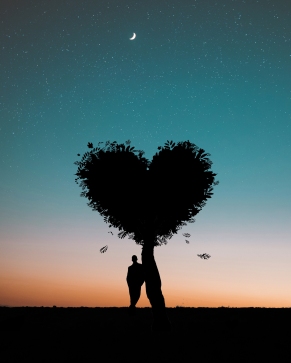 silhouette-photo-of-man-leaning-on-heart-shaped-tree-744667